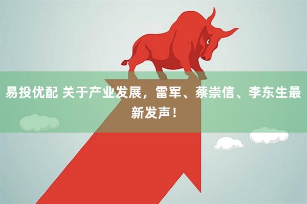 易投优配 关于产业发展，雷军、蔡崇信、李东生最新发声！